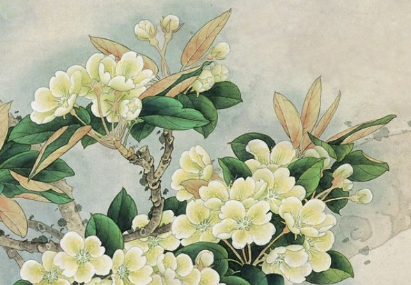 属猴生牛宝宝好么 关系较为平和 运势一切向好