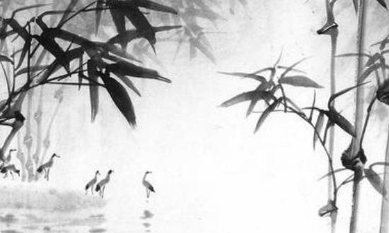 八字木多的女人漂亮,有些什么特征