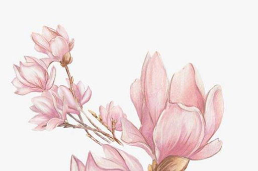 1996属鼠的三大坎 劫难分别在几岁