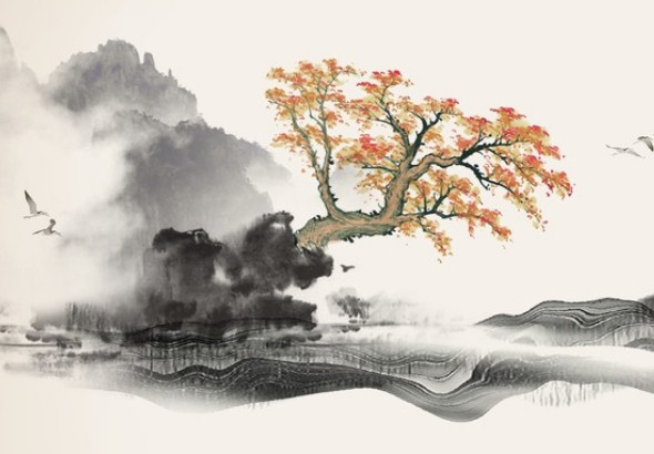 2006出生的今年多大,属什么生肖,哪一年退休