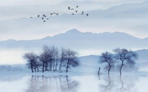 1949年出生的属牛人本命年运势有什么波动 会转运吗