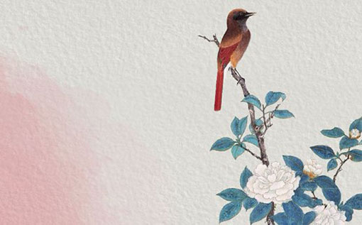 今年本命年穿啥颜色 什么颜色不能穿