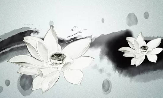 女命极好八字福泽深厚,它们具备什么特征呢