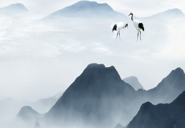 上等命的时辰 丑时出生运势上佳 一生荣华