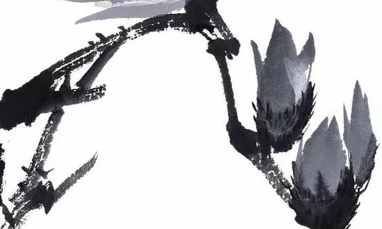 五行如何化解木旺,属木人什么命