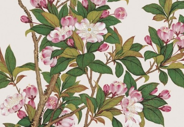 虎宝宝旺哪些生肖父母 这三个生肖因他得福