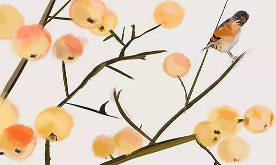 八字火多缺水的女人,如何化解