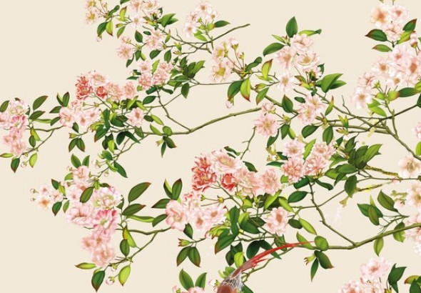 属牛的哪天出生最好命男孩 初一出生能大富大贵