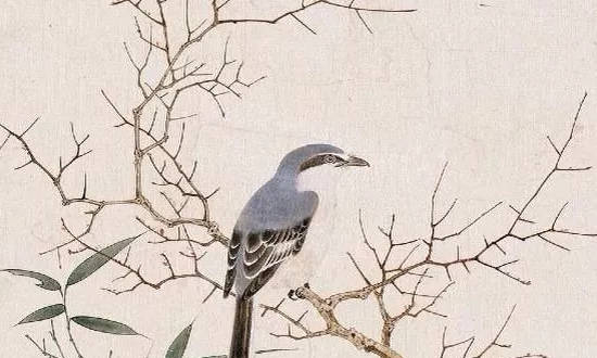 五行木旺的人可以带黄金吗,木旺人什么性格