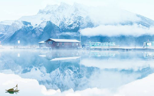 1985年出生的属牛人本命年是换工作好时机吗 财富状况好不好