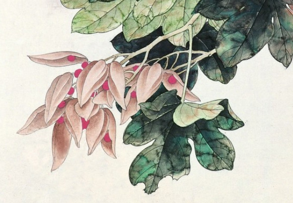 正月老鼠女宝宝好吗 天财星入库 家业兴旺不衰