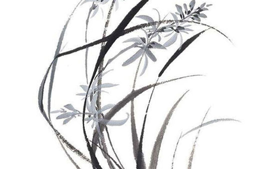 为何属牛的不怕本命年 原因竟然是这些