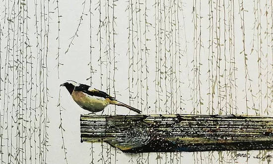 五行木旺的女人找个什么男人,木旺女人性格怎么样