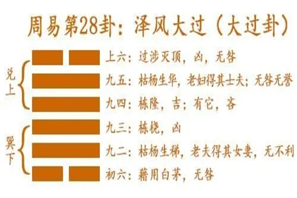 风水堂：什么是花开鸟归宿？