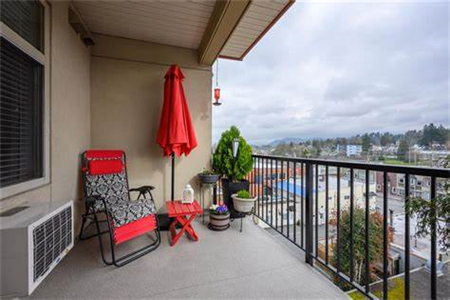 阳台东南角放什么旺财呢？赶紧来一睹为快吧！！