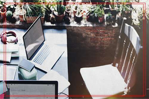 星座屋专家建议盆景花台的位置安排及摆放方法！