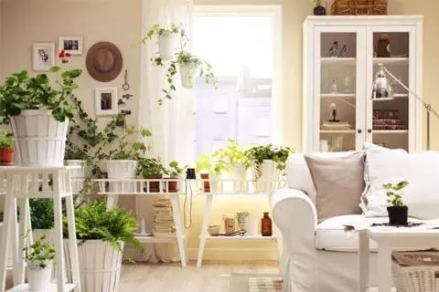 卧室装修颜色风水禁忌_家居大门颜色风水_家居装修餐厅颜色风水