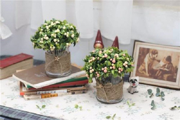厨房和卫生间之间摆放什么绿植风水最好_办公室绿植摆放风水_客厅绿植摆放位置风水