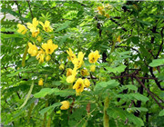 解卦“解”卦之第十六