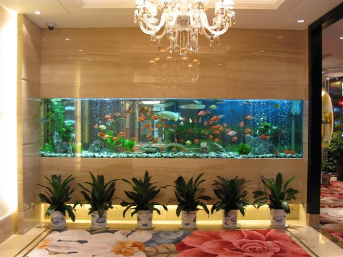 大门朝向风水_住宅大门对大门风水_大门装修风水