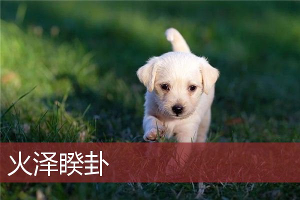 大畜卦婚姻详解_大畜卦 婚姻_大畜卦无变卦