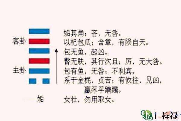 《大过卦》象征极为过分栋桡之凶