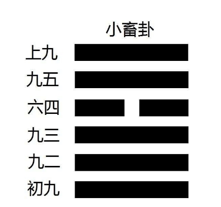 大畜卦无变卦_大畜卦九二老阳_风天小畜卦是离婚卦吗