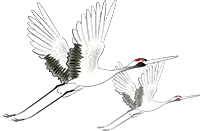 有家人问到前程怎么样？给的数字是2589