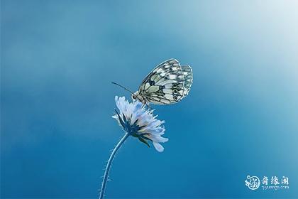 山天大畜卦男女关系