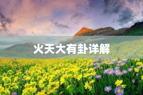 【每日一题】火天大有卦怎么解？