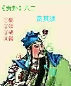遁卦六二爻 ：六二：贲其须，与上兴也