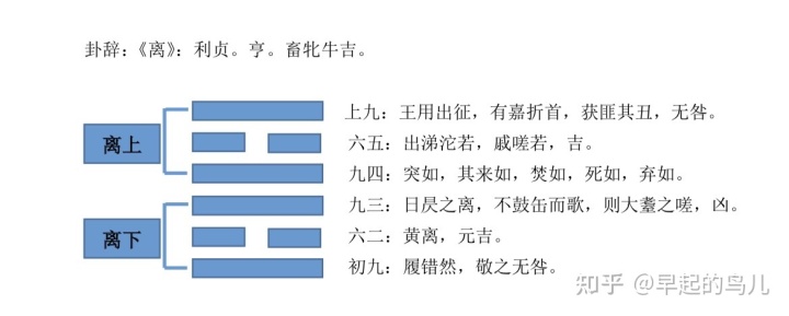 离火丰卦详解 《离》卦解析-爻辞