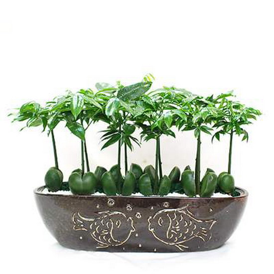 大型酒店门口风水镇物_影视墙吉祥风水画图片_风水吉祥物品牌