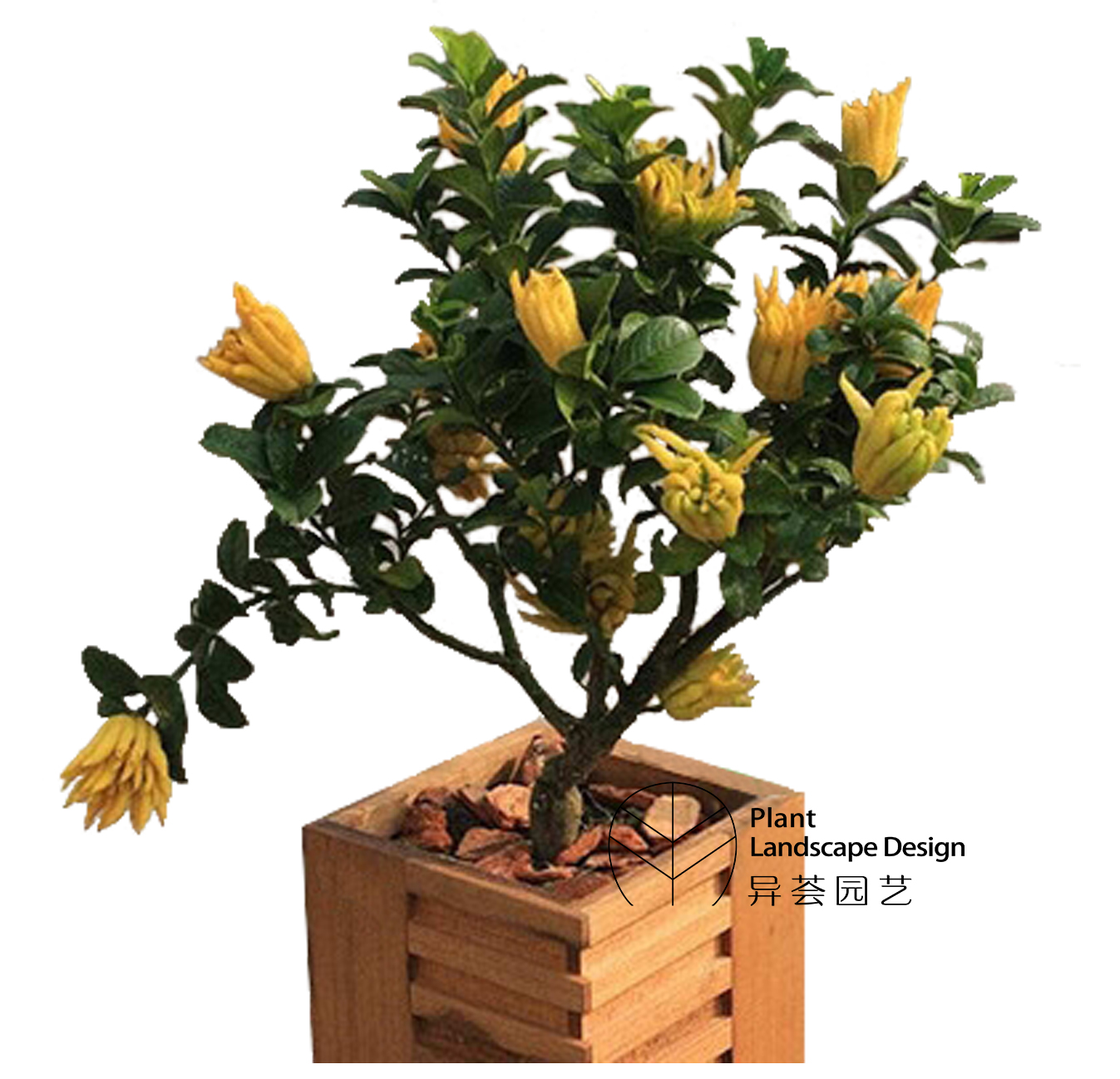 风水吉祥物品牌_大型酒店门口风水镇物_影视墙吉祥风水画图片