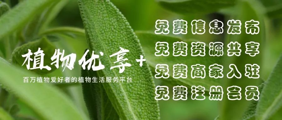 【植物优享+】小程序体验中式园林设计强调“天人合一”居住境界