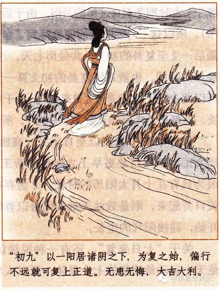 六爻梅花易卦例精解 pdf_六爻梅花易卦例精解_复卦易安居解