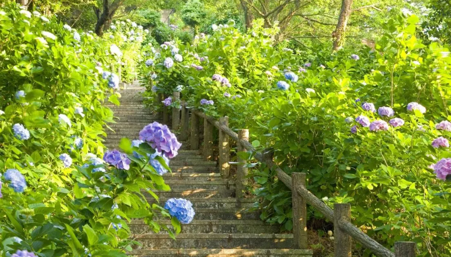 到9每个数字在数字心理学中的一般解读和分析