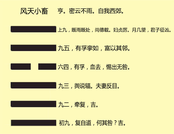 周易姤卦解卦详解方面的内容