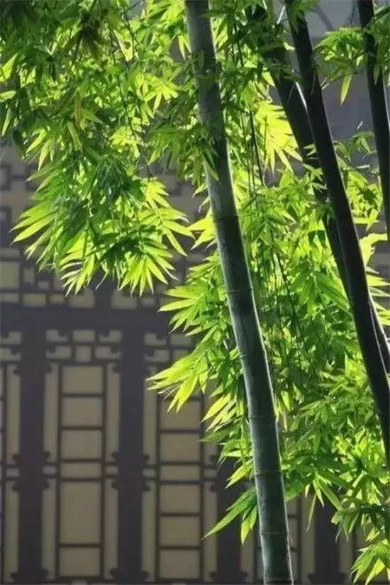 否卦变豫卦测爱情_否卦变豫卦 婚姻_否卦变观卦感情