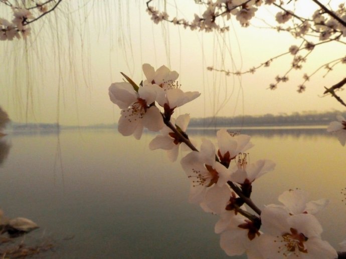 易安居网:违反后果不堪设想的风水讲究，违反不堪设想