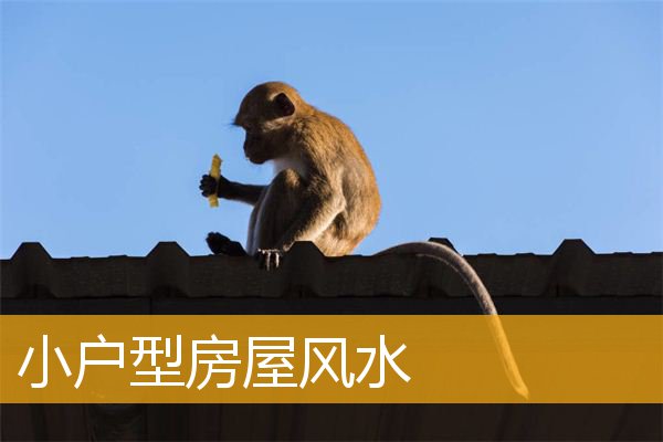 华人开运网给：小户型房屋有些什么特别的风水需要注意