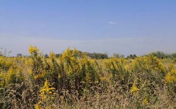 小户型的风水格局布置及化解方法！！