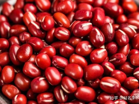 阳宅地势退龙格化解办法_2023家居风水及化解办法_漫说家居好风水,灶炉摆放风水宜忌?不可不知!