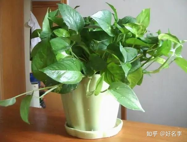 漫说家居好风水,灶炉摆放风水宜忌?不可不知!_2023家居风水及化解办法_阳宅地势退龙格化解办法