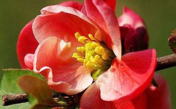 风水堂：风山渐卦详解感情婚姻