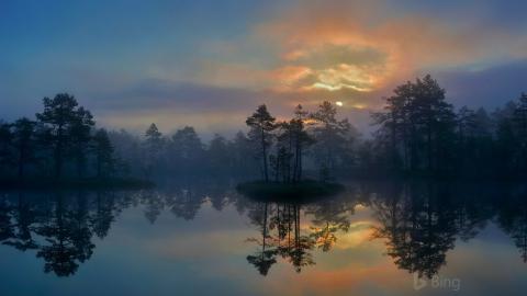 女生风山渐卦感情走向_风山渐卦人生运程_风山渐卦解读 傅佩荣