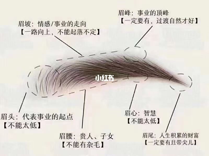 中国风水学起源于何时？推荐几部《罗经透解》全集小说