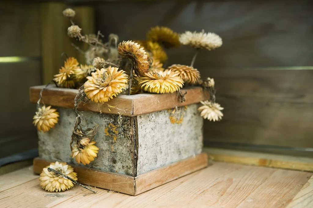 家里哪些风水影响女主人的健康_什么样的风水影响儿媳健康_玄学三元九运风水影响人生