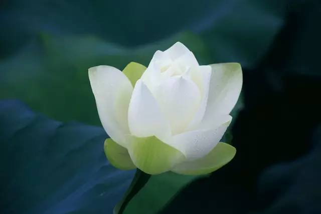 以“谦德”对人，有好结局