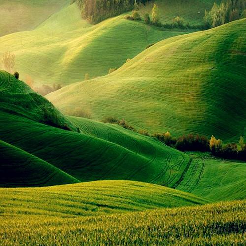 【八卦解密之巽】梦见葫芦、花草意味着什么？